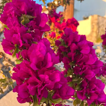 דירה White & Blue