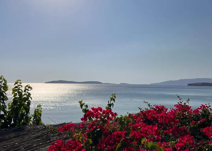 White & Blue バトシ